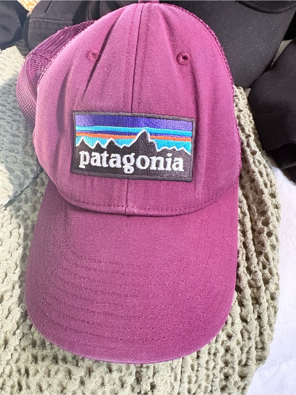 Patagonia Purple Logo Trucker Hat